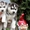 Питомник Сибирских Хаски "ARCTIC DOGS UA" предлагает щенков - <ro>Изображение</ro><ru>Изображение</ru> #1, <ru>Объявление</ru> #1329583