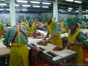 Обвальщик на мясокомбинат. Польша