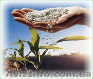 Карбамид,  селитра (минудобрения),  NPK по Украине и на экспорт.