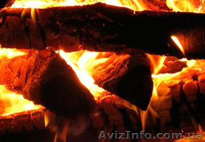 Дрова. Одесса и Одесская область.