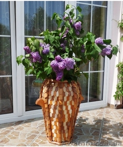 РАБОТА В ПОЛЬШЕ ПО БИОМЕТРИЧЕСКИМ ПАСПОРТАМ