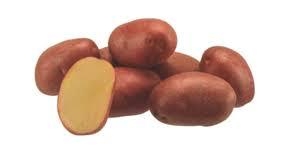 Продам картофель посевной 1 репродукции. - <ro>Изображение</ro><ru>Изображение</ru> #3, <ru>Объявление</ru> #1646225