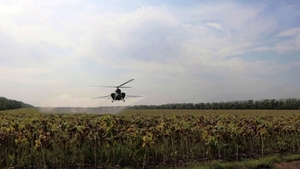 Десикация кукурузы и подсолнечника дельталетом вертолетом - <ro>Изображение</ro><ru>Изображение</ru> #1, <ru>Объявление</ru> #945000