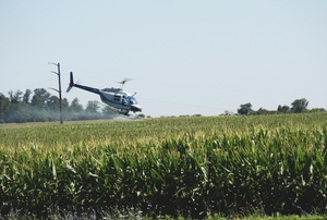 Луговой мотылек - защита посевов от его гусеницы вертолетом самолетом - <ro>Изображение</ro><ru>Изображение</ru> #1, <ru>Объявление</ru> #908546