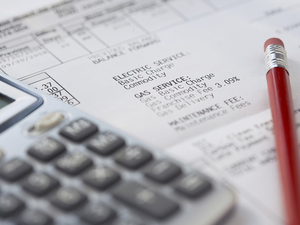 Складання бізнес-планів,  залучення капіталу,  стратегічне планування.