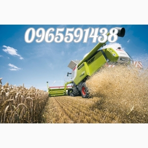 Услуги аренда комбайна, трактора, сеялки, перевозка катка, спецтехники, жатки буровой