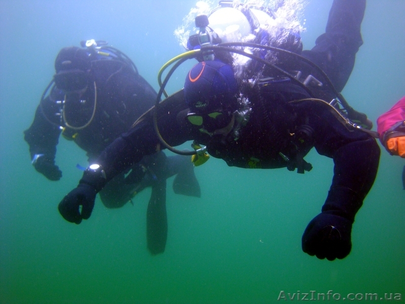 Обучение дайвингу по системе PADI!! - <ro>Изображение</ro><ru>Изображение</ru> #1, <ru>Объявление</ru> #2175
