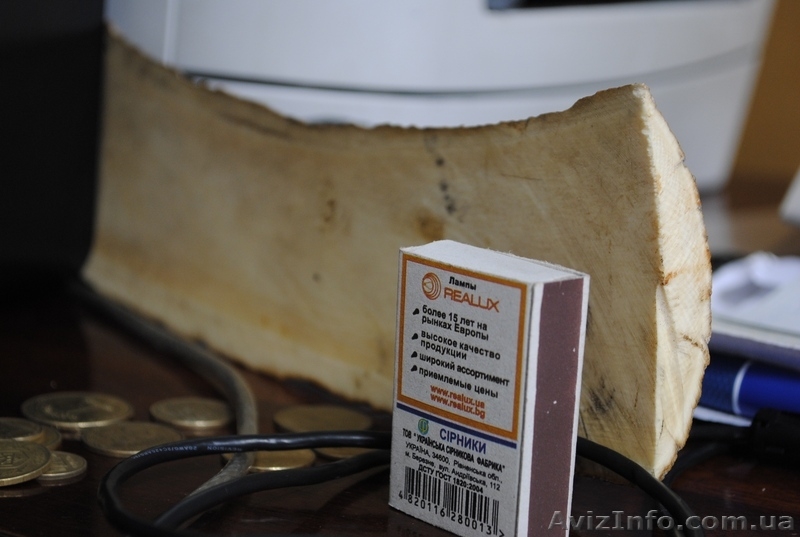 Продам срез бивня мамонта - <ro>Изображение</ro><ru>Изображение</ru> #2, <ru>Объявление</ru> #77318