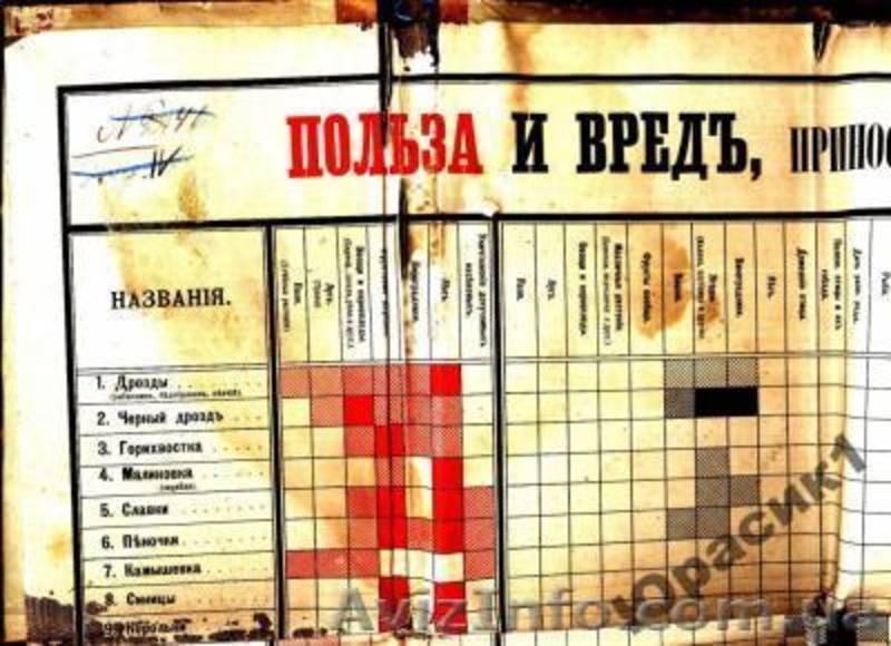 польза и вред приносимые нашими птицами 1898 года - <ro>Изображение</ro><ru>Изображение</ru> #4, <ru>Объявление</ru> #176969