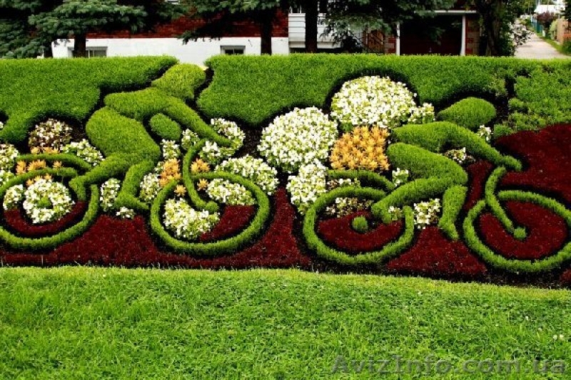 28 ноября 2012 г. начало занятий по курсу 'Ландшафтный дизайн"  - <ro>Изображение</ro><ru>Изображение</ru> #2, <ru>Объявление</ru> #621992