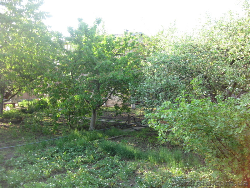 Продам дачу,в Марьяноке,6 соток, - <ro>Изображение</ro><ru>Изображение</ru> #5, <ru>Объявление</ru> #650501