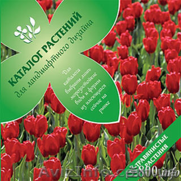 ВНИМАНИЕ!!! 22 июля начало занятий по курсу "Ландшафтный дизайн" - <ro>Изображение</ro><ru>Изображение</ru> #2, <ru>Объявление</ru> #659516