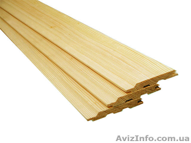 Лиственница сибирская Кировоград Украина - <ro>Изображение</ro><ru>Изображение</ru> #1, <ru>Объявление</ru> #153156