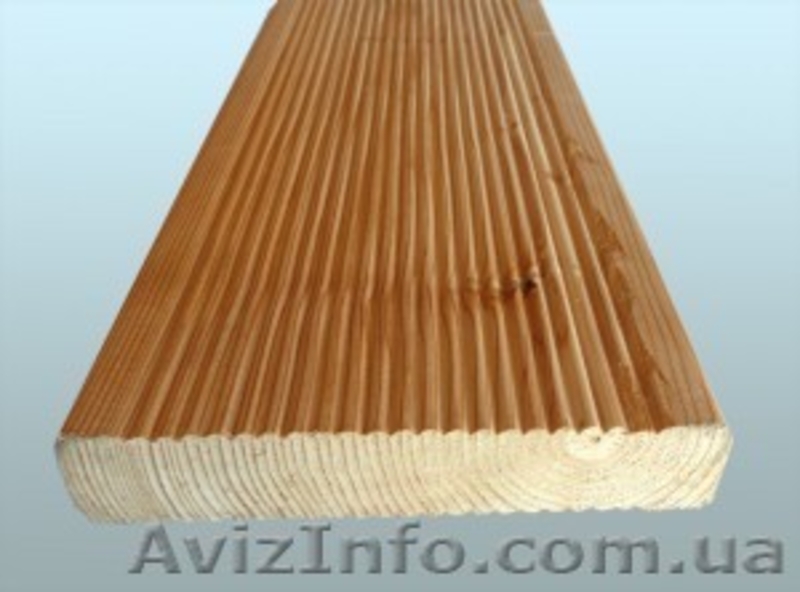 Лиственница сибирская Кировоград Украина - <ro>Изображение</ro><ru>Изображение</ru> #4, <ru>Объявление</ru> #153156