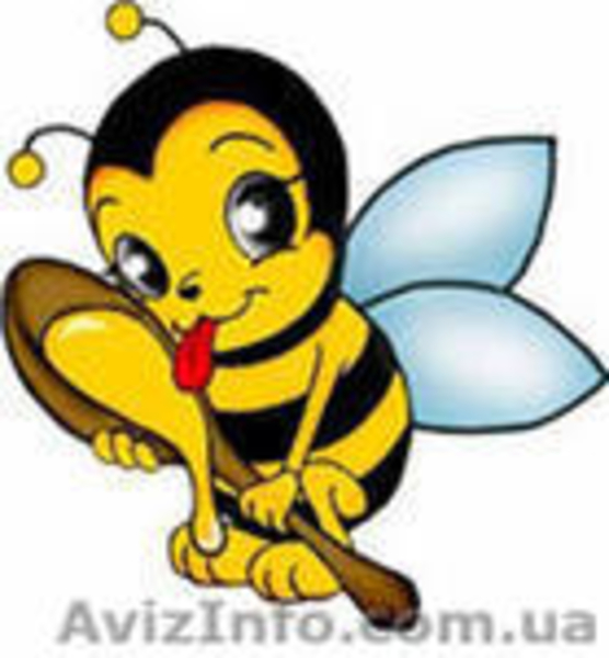 Курсы обучения работе  в системе электронного документооборота «M.E.Doc». Продаж - <ro>Изображение</ro><ru>Изображение</ru> #1, <ru>Объявление</ru> #731049