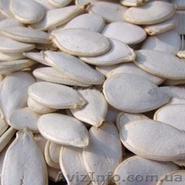 закупаем Грецкий Орех,фасоль,семена тыквы - <ro>Изображение</ro><ru>Изображение</ru> #3, <ru>Объявление</ru> #962372