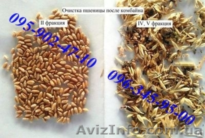 Продам сепаратор зерна ИСМ-10 - <ro>Изображение</ro><ru>Изображение</ru> #6, <ru>Объявление</ru> #1230961