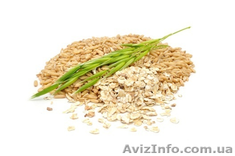 Овсянка оптом. Вівсяні пластівці - <ro>Изображение</ro><ru>Изображение</ru> #1, <ru>Объявление</ru> #1351068