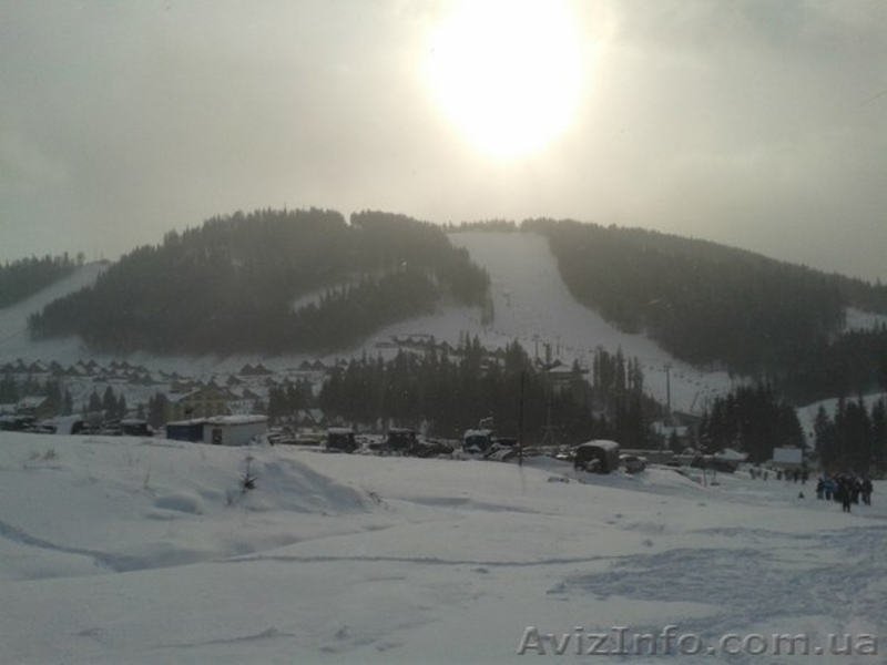 Карпатский отдых - <ro>Изображение</ro><ru>Изображение</ru> #1, <ru>Объявление</ru> #1365764