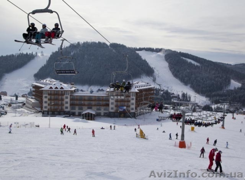 Карпатский отдых - <ro>Изображение</ro><ru>Изображение</ru> #3, <ru>Объявление</ru> #1365764