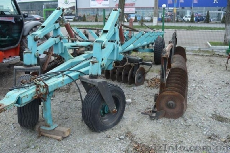 ЛУЩИЛЬНИК 8 – МЕТРОВЫЙ (КРАСНЯНКА) - <ro>Изображение</ro><ru>Изображение</ru> #3, <ru>Объявление</ru> #1613781