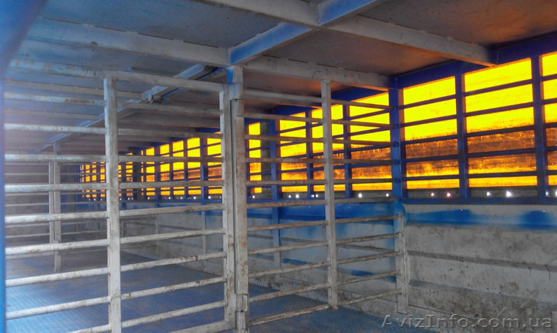 Двухэтажный полуприцеп скотовоз SCHMITZ (для перевозки животных) - <ro>Изображение</ro><ru>Изображение</ru> #4, <ru>Объявление</ru> #1644264