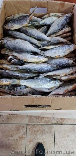 Продам сушеную лещ тарань сом жерех окунь густера судак - <ro>Изображение</ro><ru>Изображение</ru> #2, <ru>Объявление</ru> #1643895