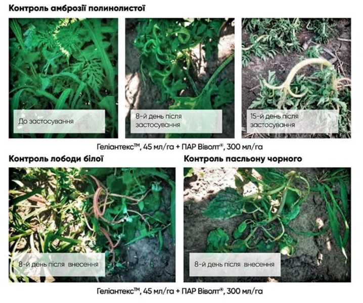 Гербицид на подсолнечник Гелиантекс - <ro>Изображение</ro><ru>Изображение</ru> #2, <ru>Объявление</ru> #1684310