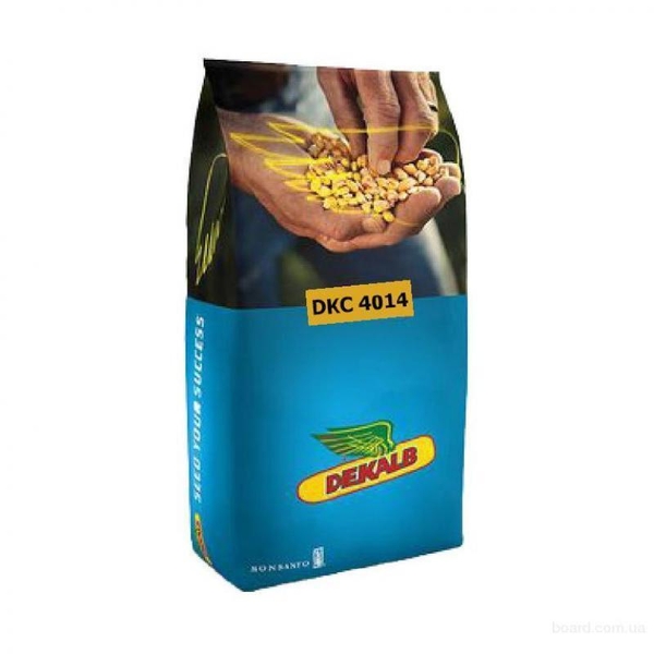 Продам семена кукурузы недорого, высокоурожайные сорта - <ro>Изображение</ro><ru>Изображение</ru> #3, <ru>Объявление</ru> #1722695